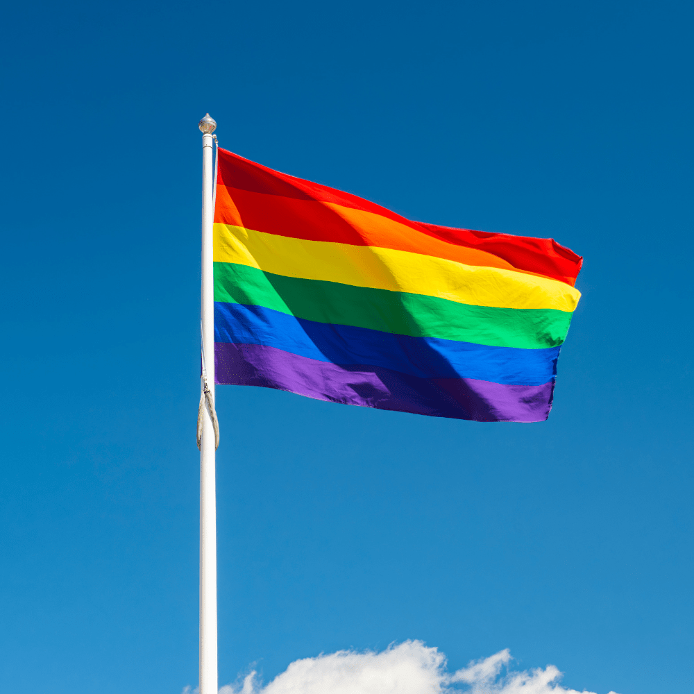 Drapeau LGBTQIA+