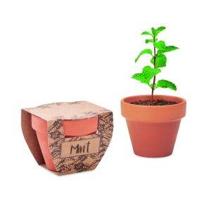 MINT POT personnalisé - Jardinage