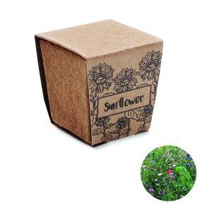 SUNFLOWER KIT personnalisé - Jardinage